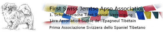 Swiss Tibby Friends Assiociation